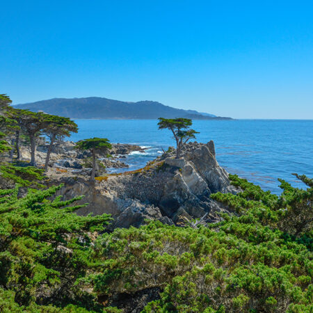 Monterey Bay